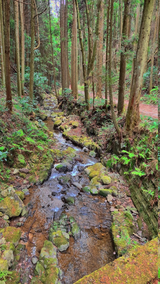 A creek near the trail’s end.